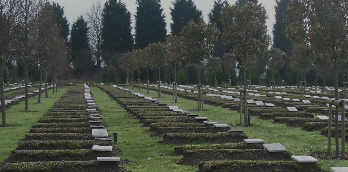 Rows of headstones in an Islamic cemetery, framed by trees